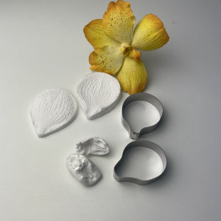 KIT ORQUÍDEA VANDA COM LABELO   - LINHA PROFISSIONAL