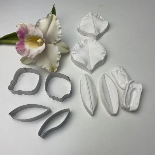 KIT CATLEYA  - LINHA PROFISSIONAL